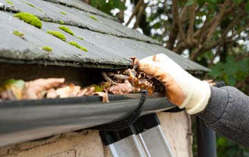 gutter cleaning Peatling Magna, Leicestershire